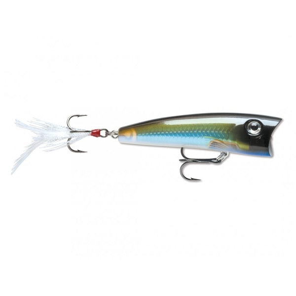 X-Rap Pop Lure in Moss Back Shiner Pattern