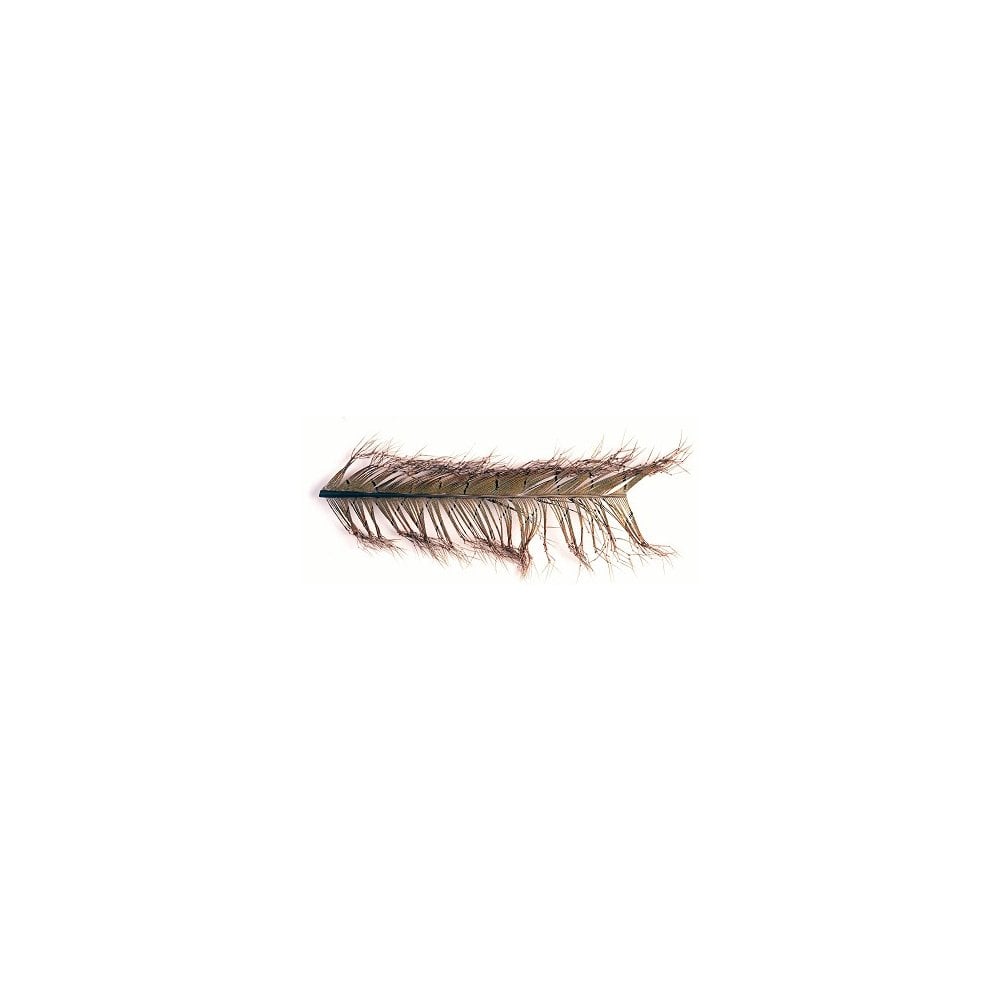 Cock Pheasant Knotted Tail on the Quill