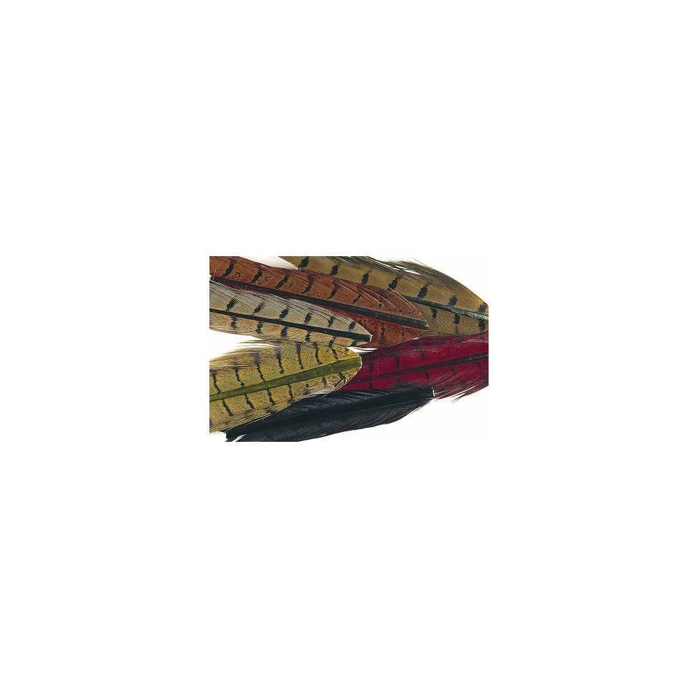 Cock Pheasant Natural & Dyed Mixed Centre Tail Pieces