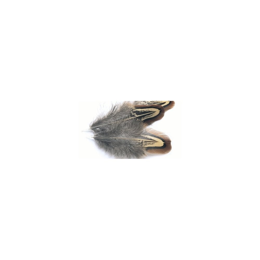 Cock Pheasant Shoulder (Church Windows)