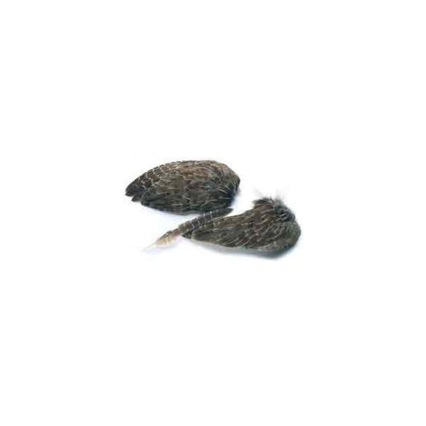 Cock Pheasant Wings