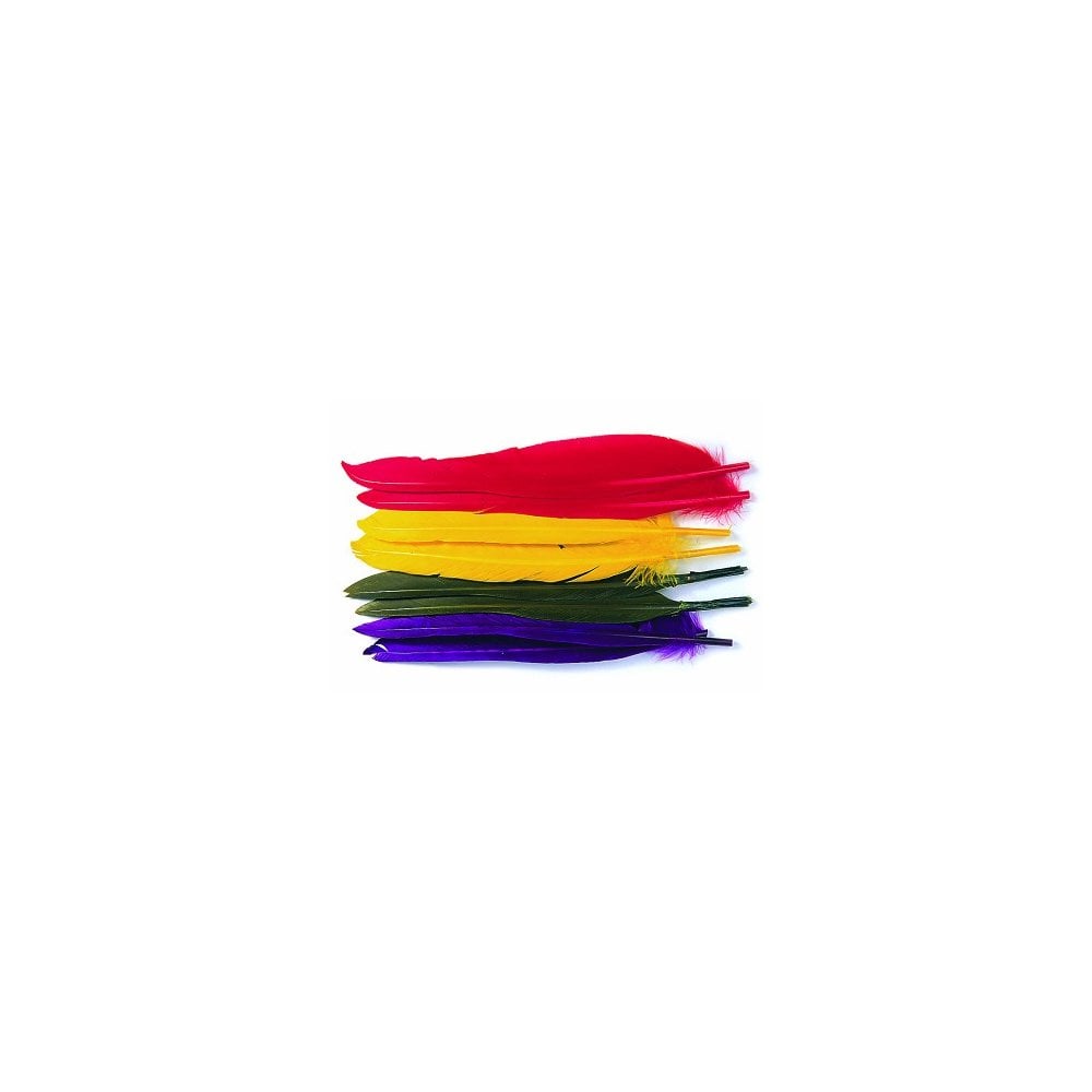 Duck Quills