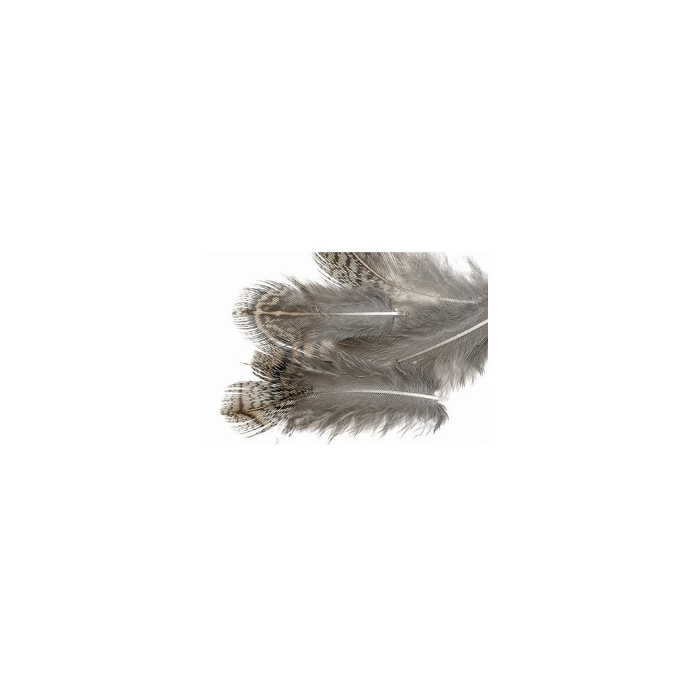 English Grey Partridge Brown Back Hackles