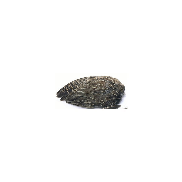 English Grey Partridge Wings