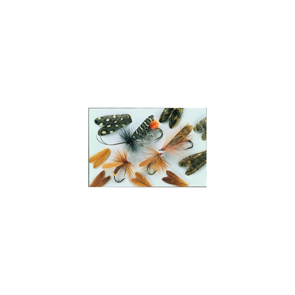 Feather Caddis Wings
