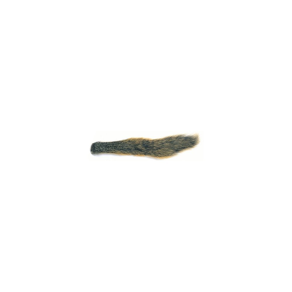 Fox Squirrel Natural Barred Tail