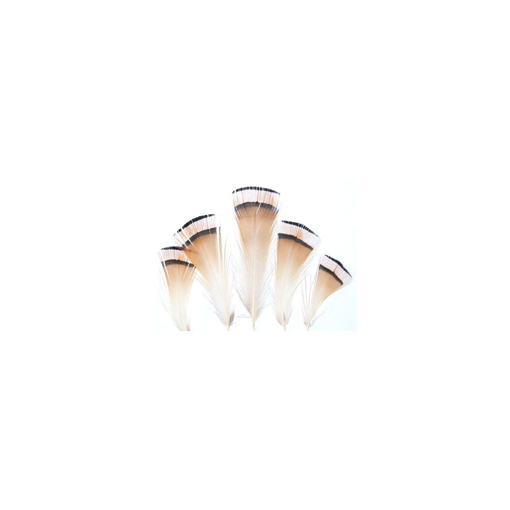 Golden Pheasant Tippet Feathers