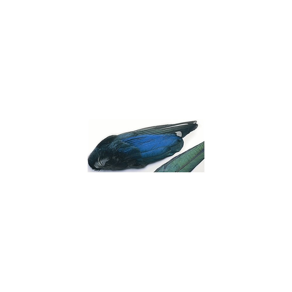 Magpie Wings