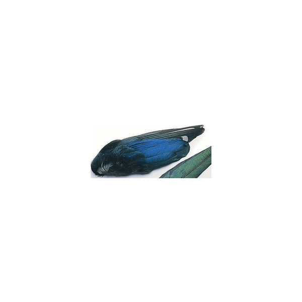 Magpie Wings