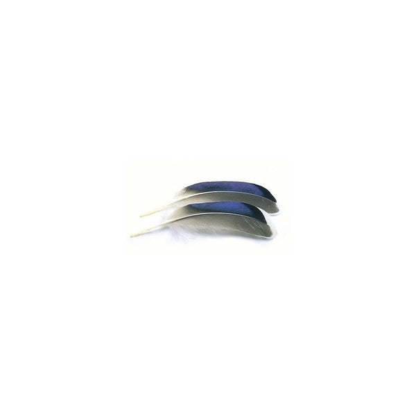 Mallard Wing Quills Blue White Tip