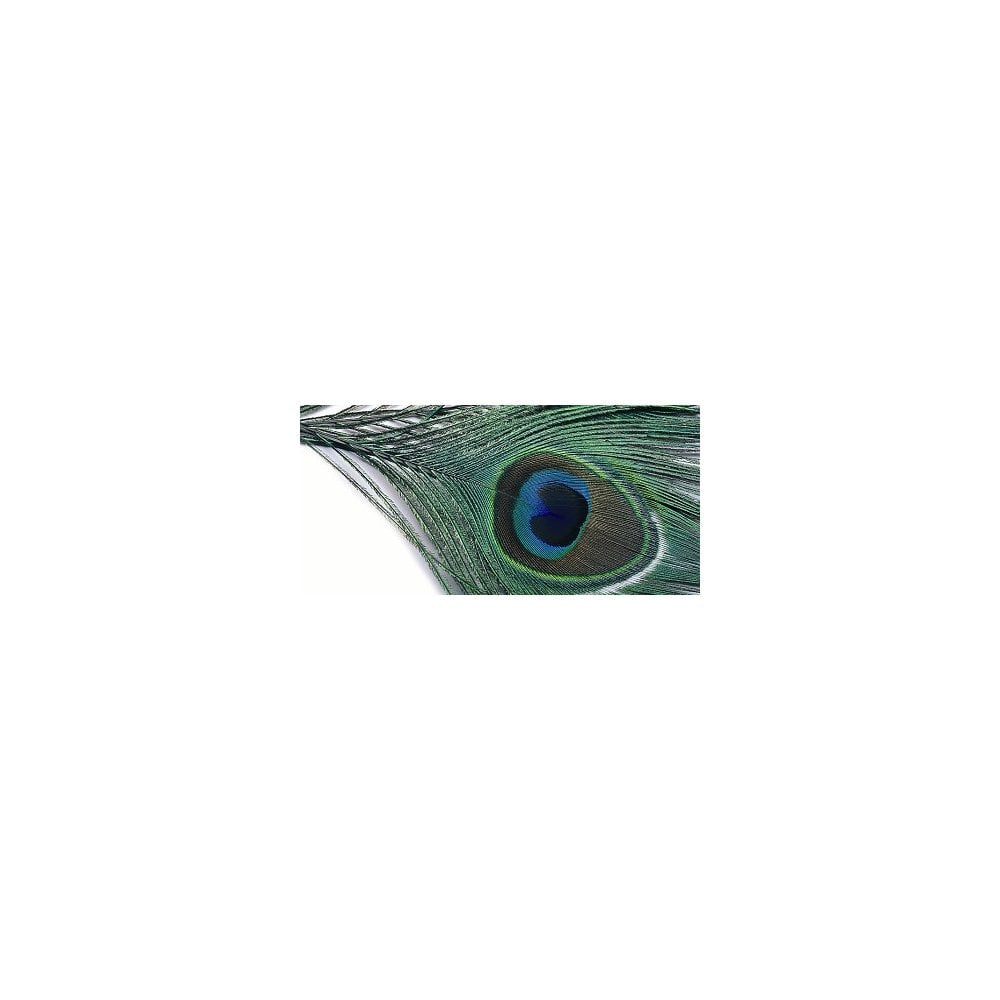 Peacock Cut Eye Tops