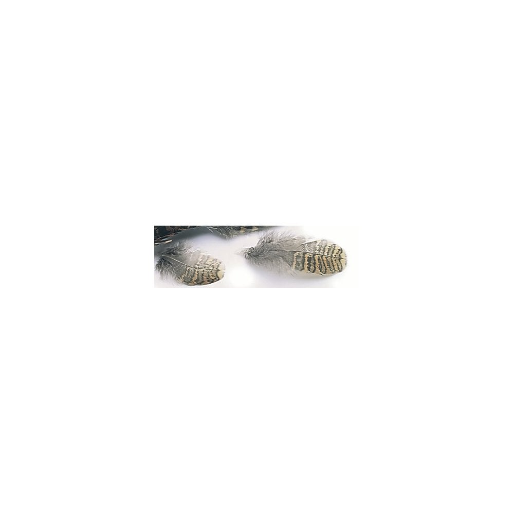 Woodcock Hackle/Plumage
