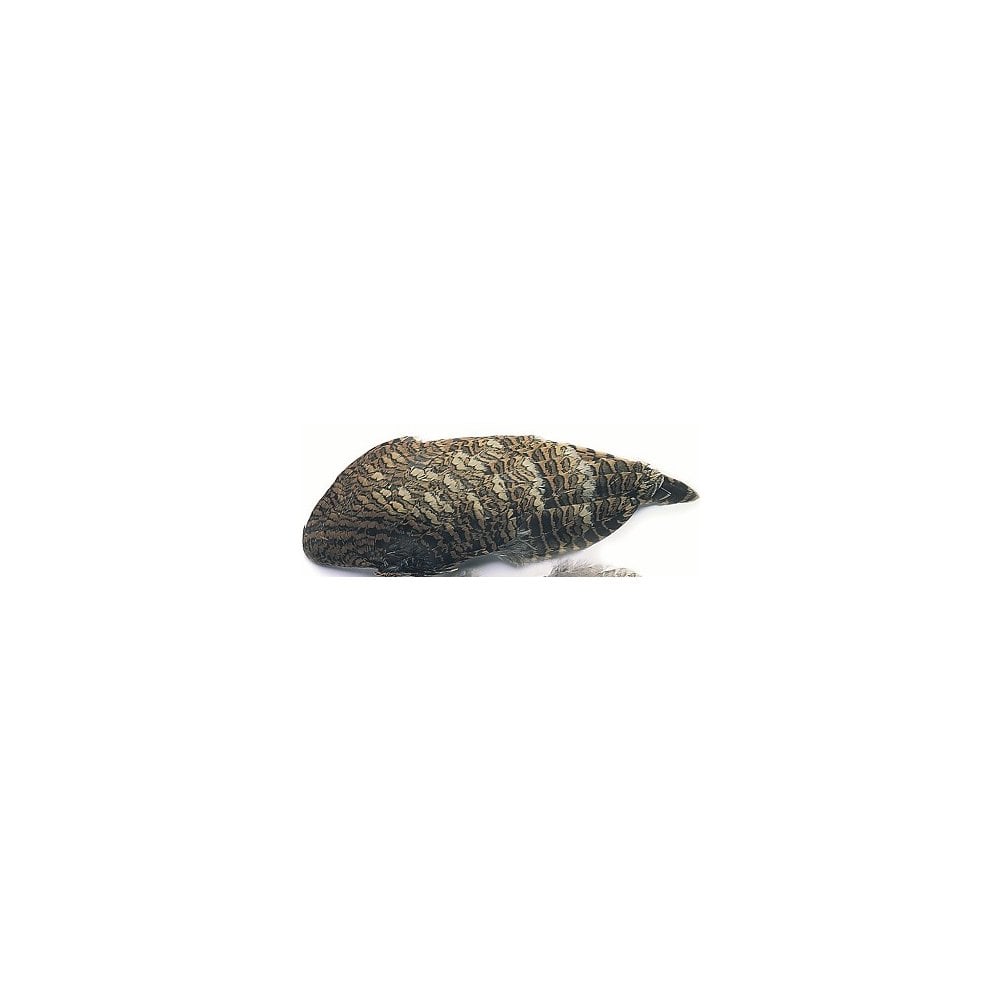 Woodcock Wings