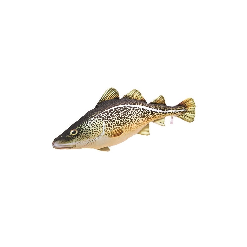 The Atlantic Cod - 75cm