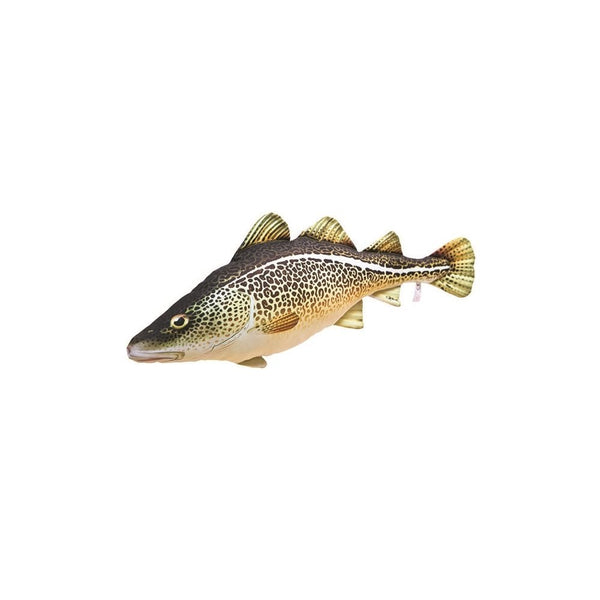 The Atlantic Cod - 75cm