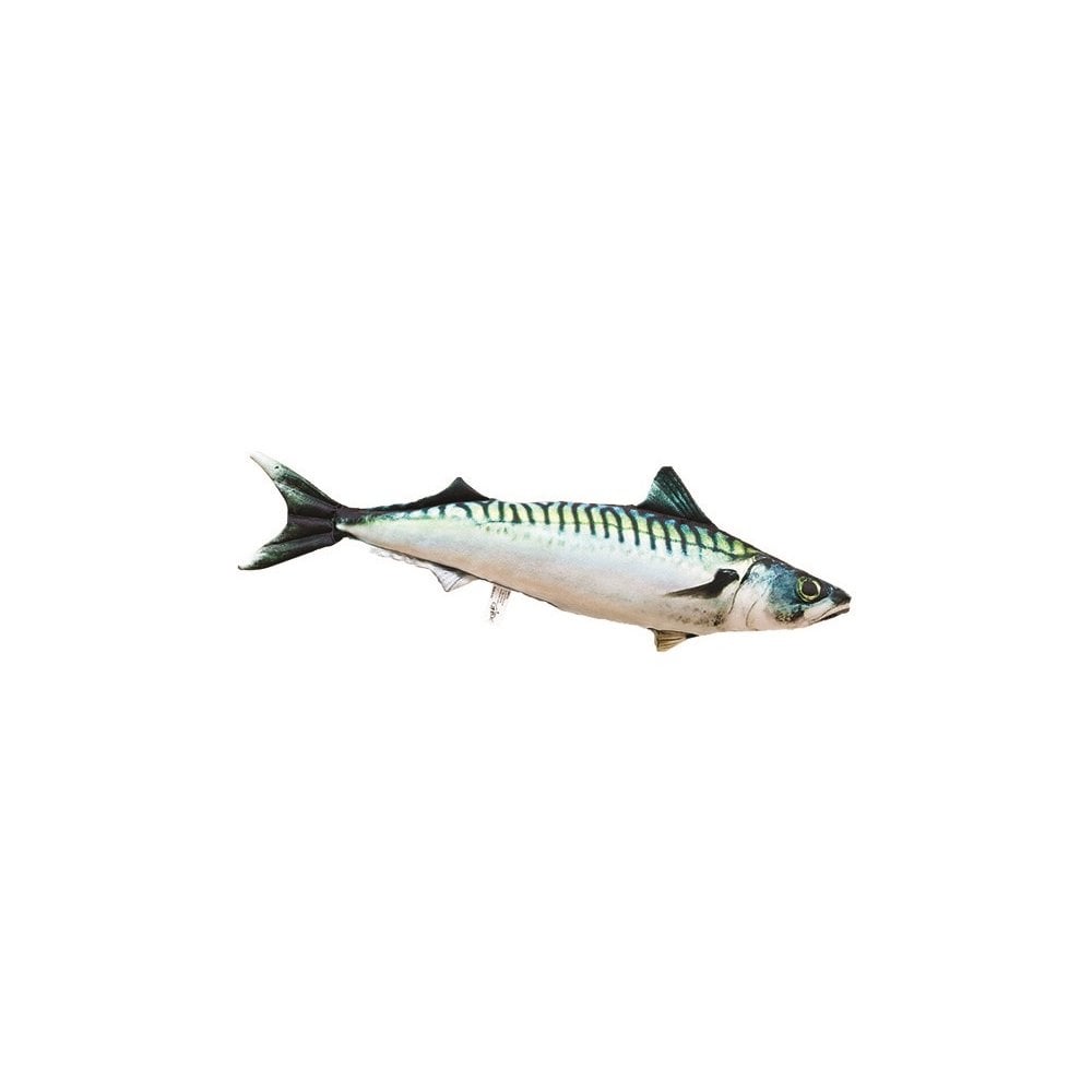 The Atlantic Mackerel - 60cm