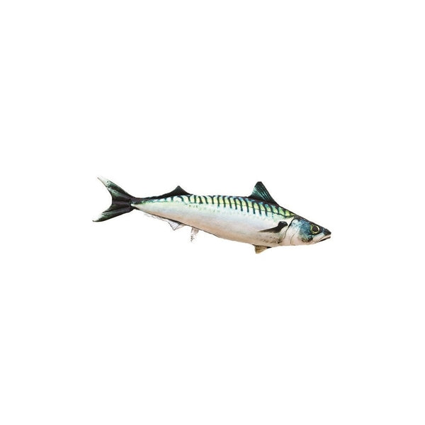 The Atlantic Mackerel - 60cm