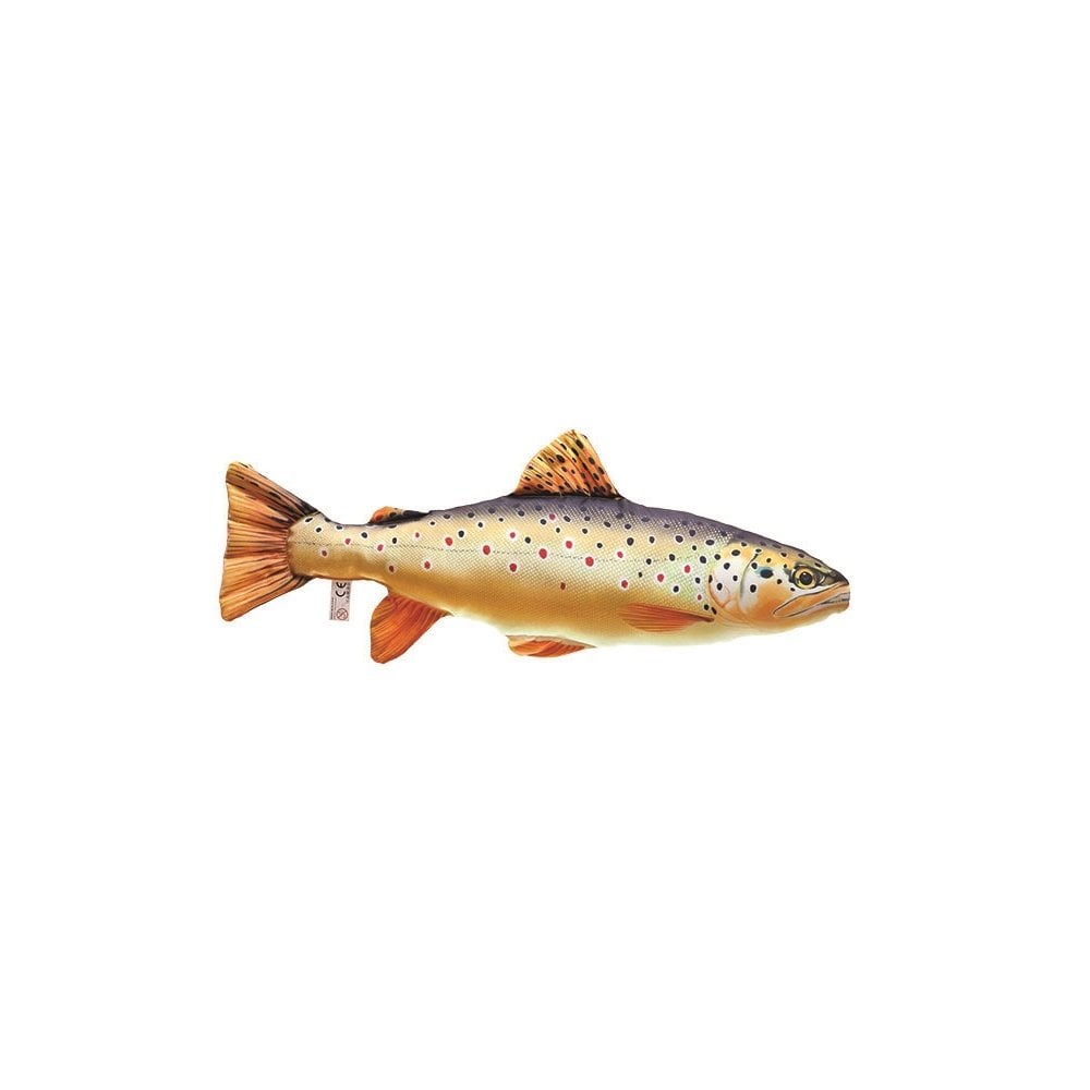 The Brown Trout - 62cm