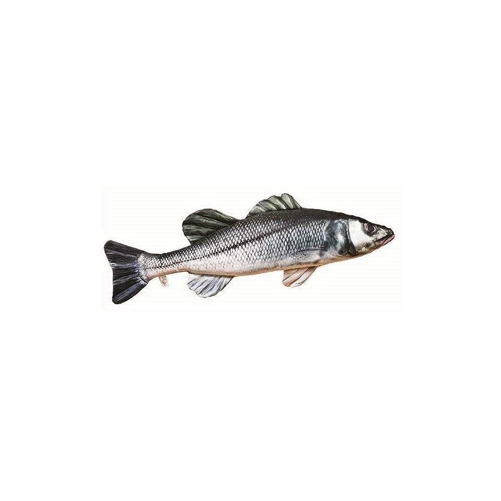 The European Sea Bass - 70cm