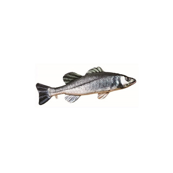 The European Sea Bass - 70cm