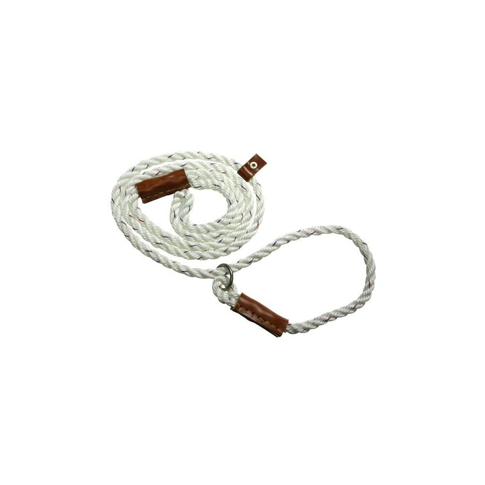 Field Trial Dog Lead