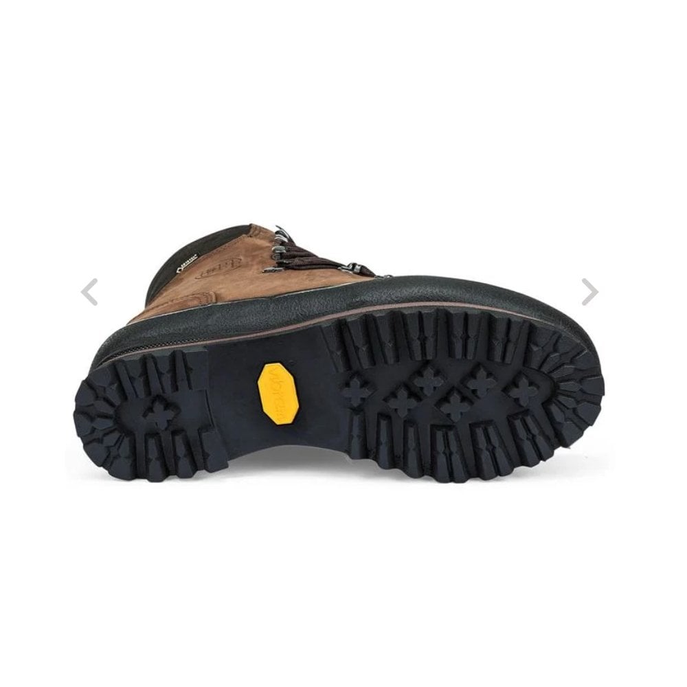 Trapper Top GTX Boots in Brown