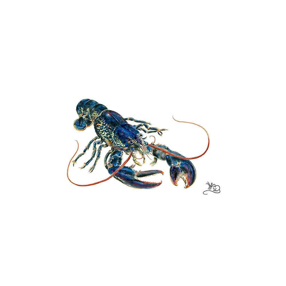 Lobster Card
