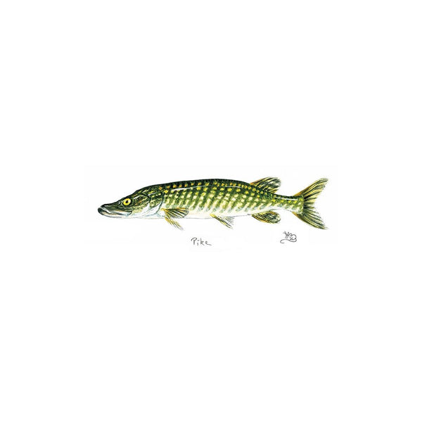 Pike Card