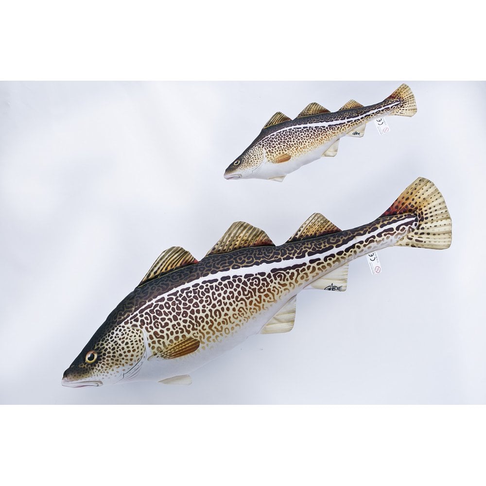 The Atlantic Cod - 75cm