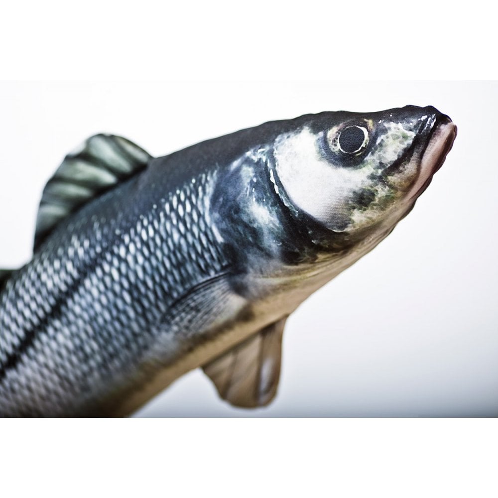 The European Sea Bass - 70cm