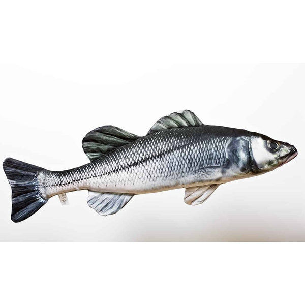 The European Sea Bass - 70cm