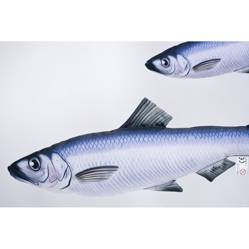 The Herring - 60cm