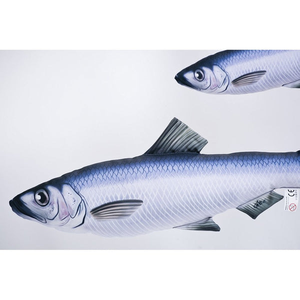 The Herring - 60cm