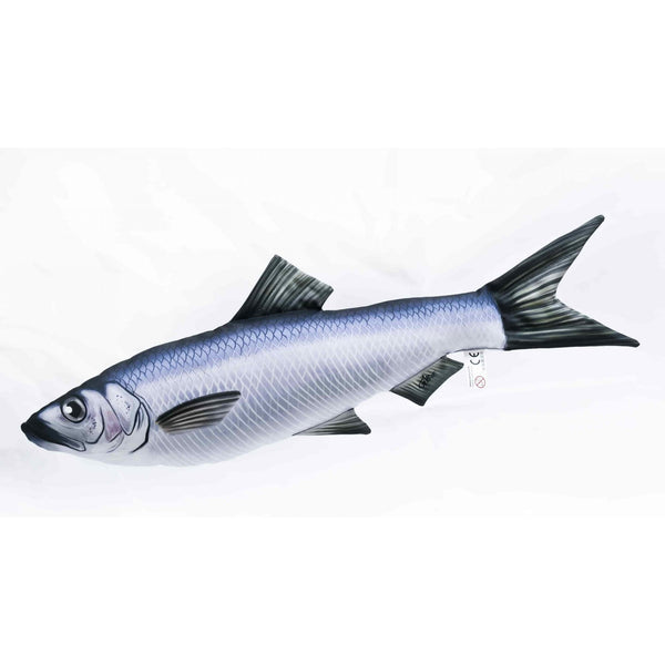 The Herring - 60cm
