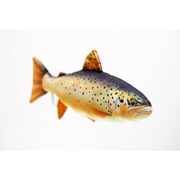 The Brown Trout - 62cm