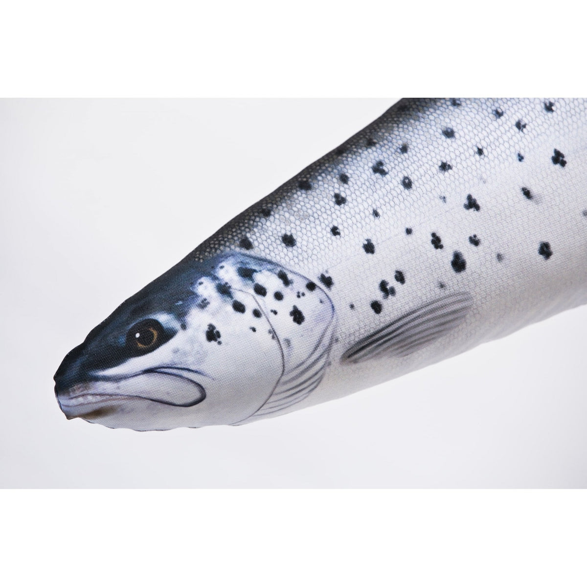 The Sea Trout Smolt - 51cm