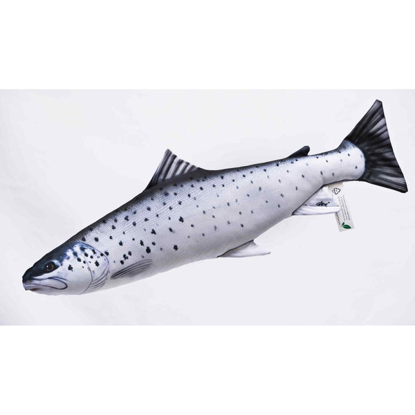 The Sea Trout Smolt - 51cm