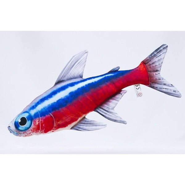 The Neon Tetra - 53cm