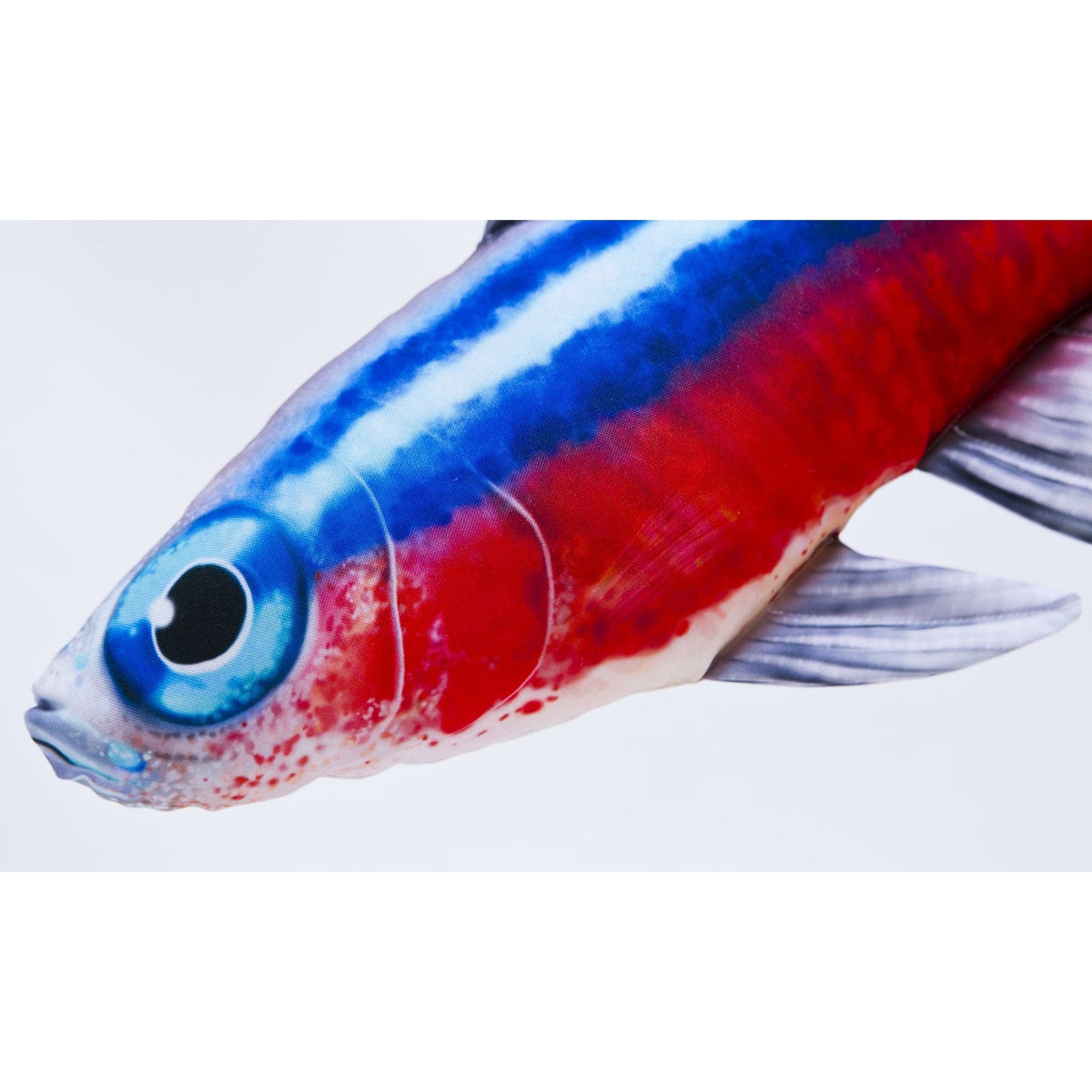 The Neon Tetra - 53cm
