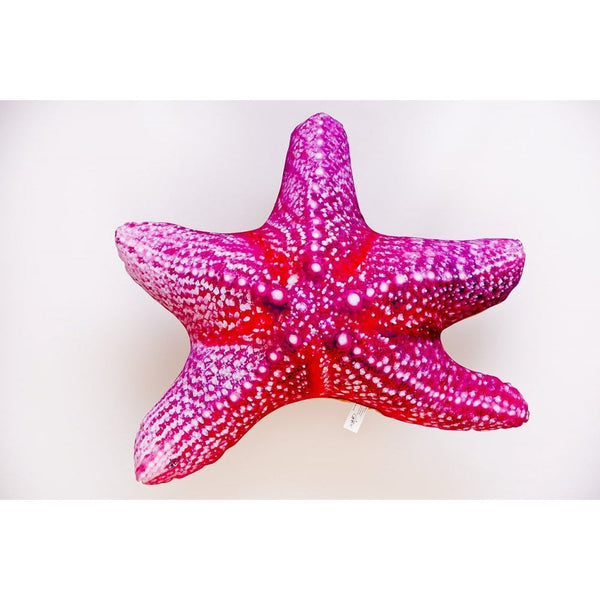 The Starfish - 50cm
