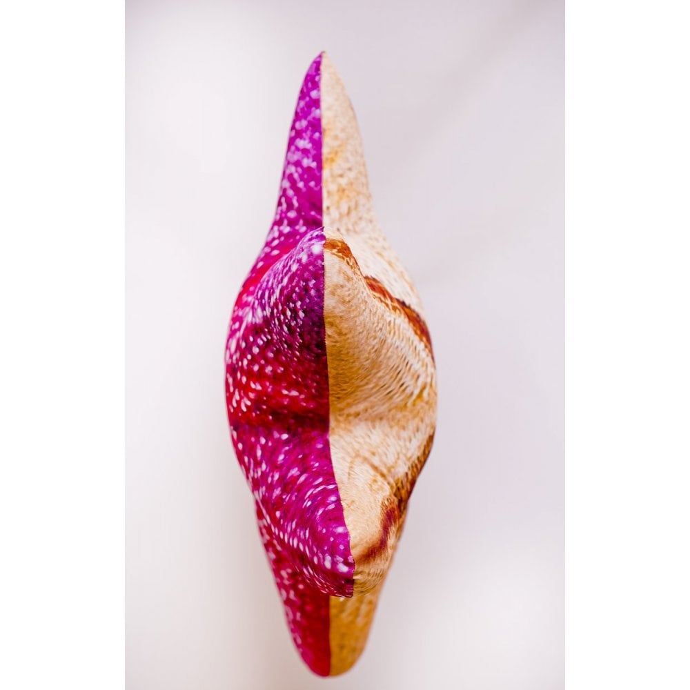 The Starfish - 50cm