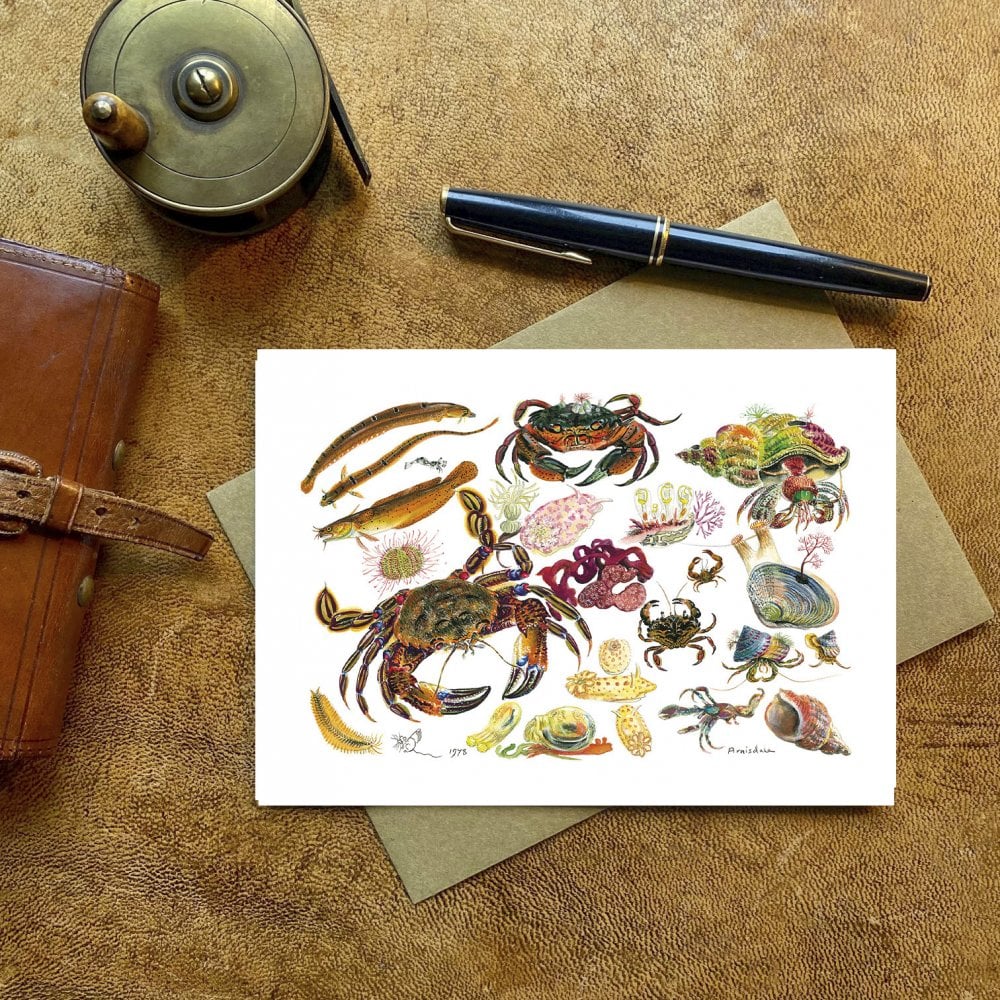 Rock Pool Card