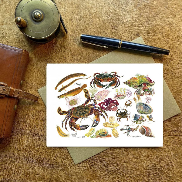 Rock Pool Card