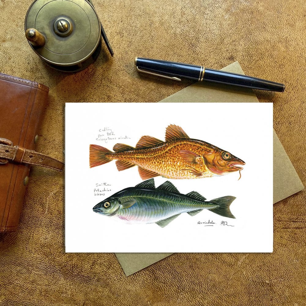 Codling & Saithe Card