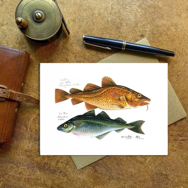 Codling & Saithe Card