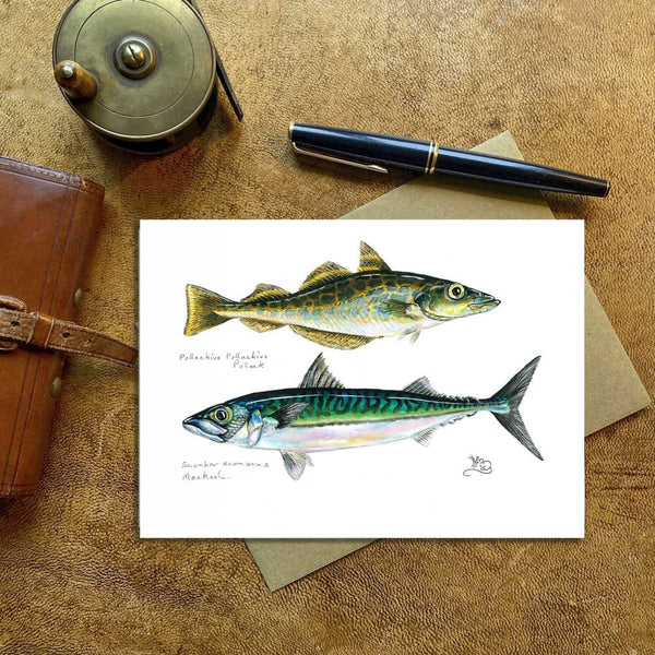 Pollock & Mackerel Card