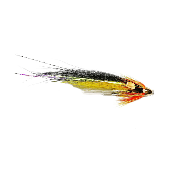 Ally Cascade Dog Conehead with Jungle Cock