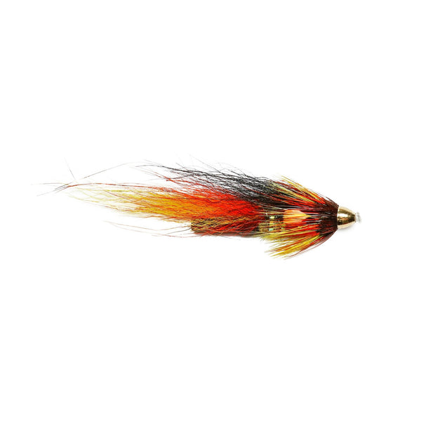Park Shrimp Conehead with Jungle Cock