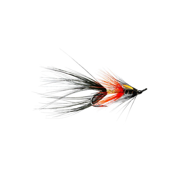 Black Shrimp Double with Jungle Cock