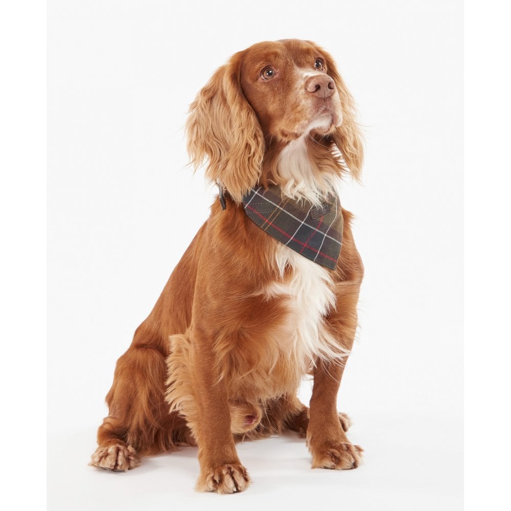 Dog Bandana